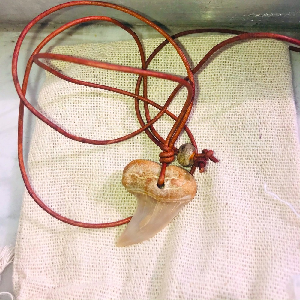 Cute mako shark tooth necklace